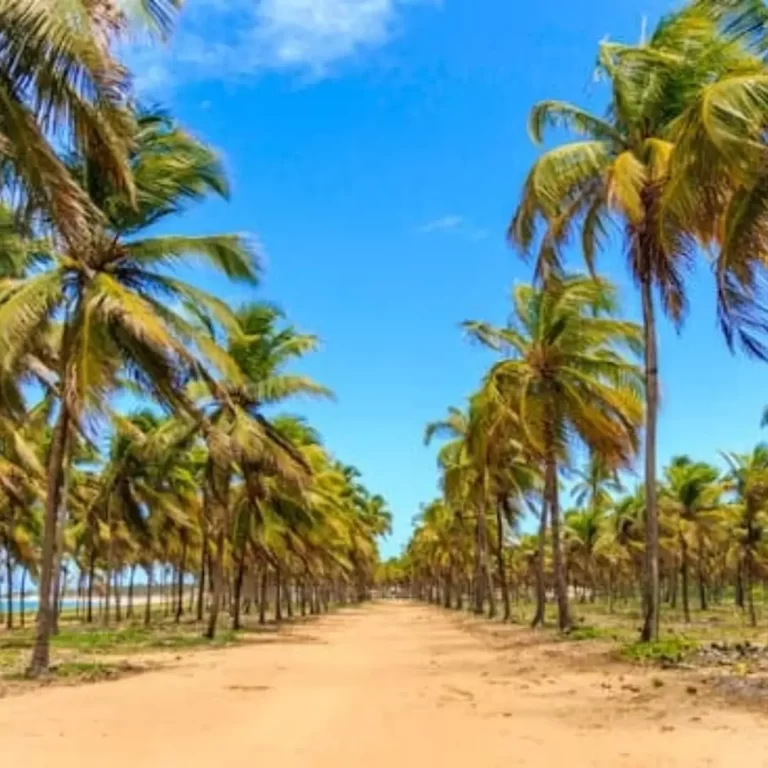 As Melhores Praias do Brasil