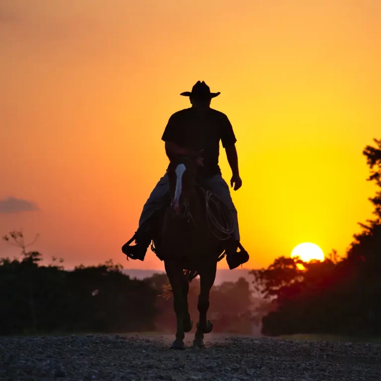 Festa de Rodeio